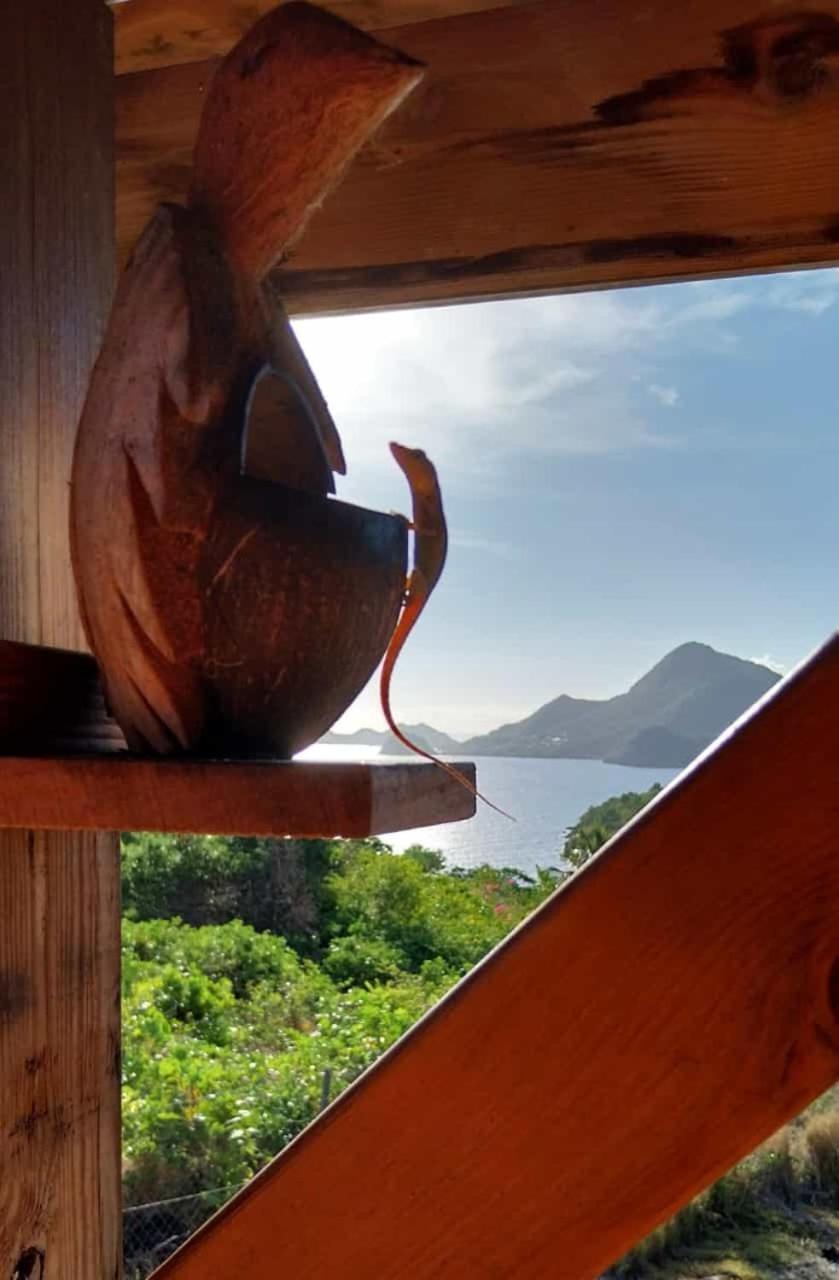 KAZ ANOLI La TI KAZ Villa Terre-de-Bas Bagian luar foto